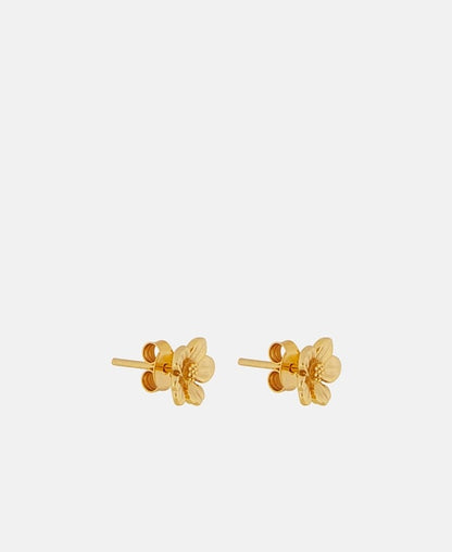 Ohrstecker