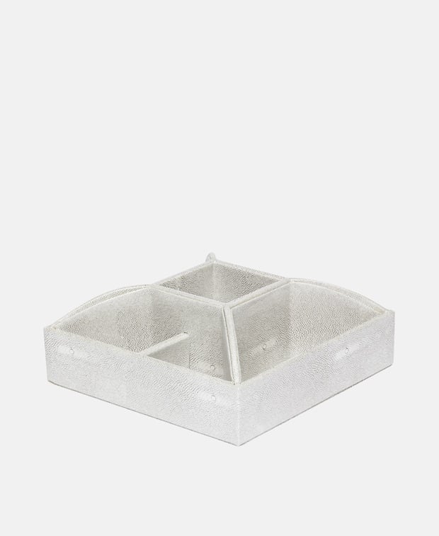 Organizer