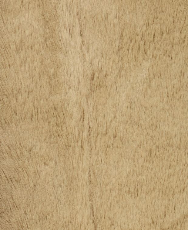 Kissen gefüllt 45x45