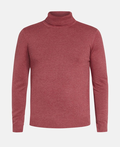 Rollkragenpullover