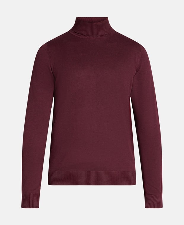 Rollkragenpullover