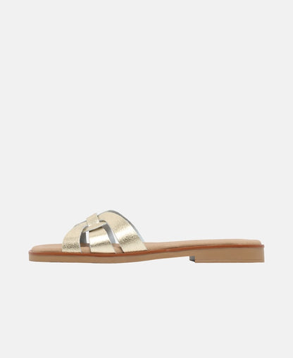Mules
