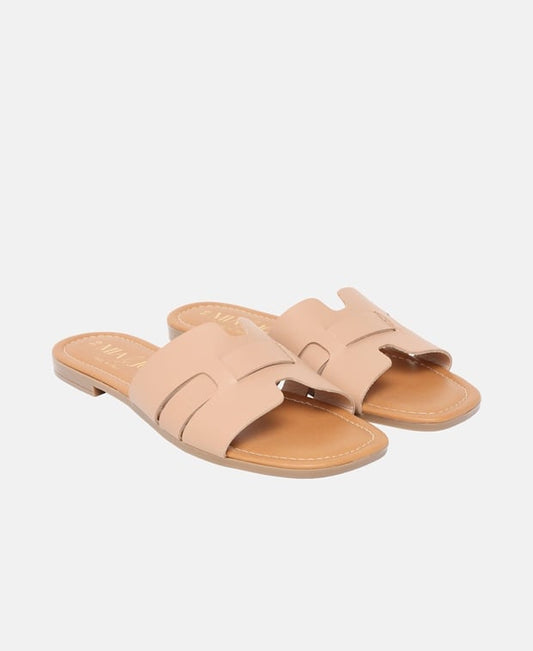 Mules