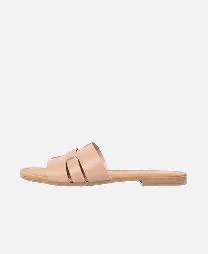 Mules