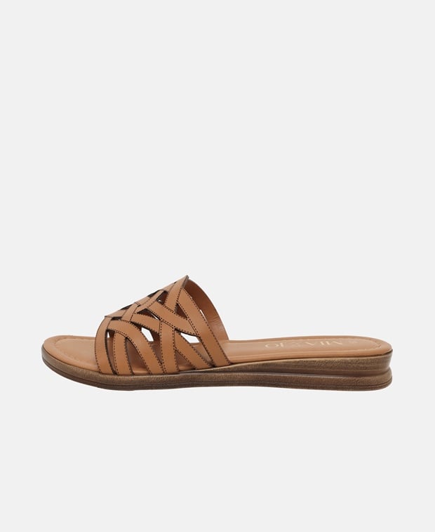 Mules