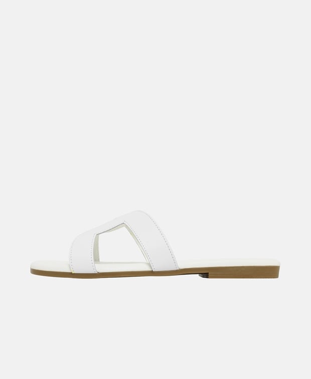 Mules