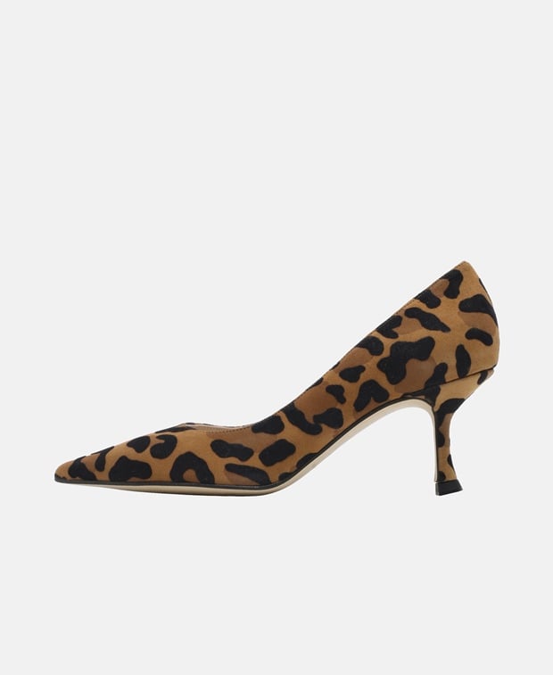 Pumps