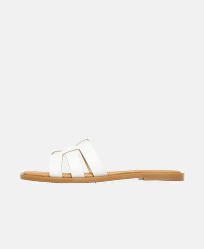 Mules