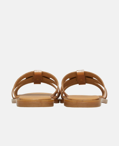 Mules