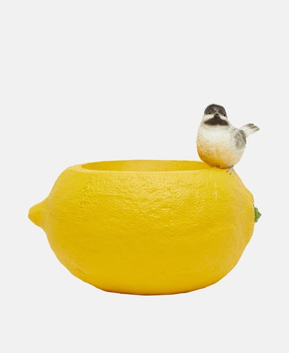 Blumentopf