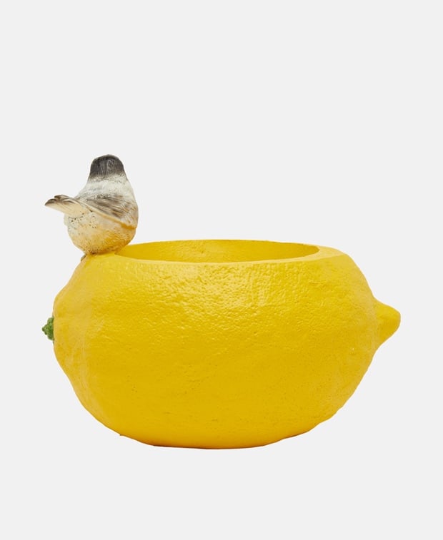Blumentopf