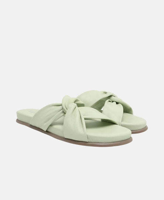 Mules
