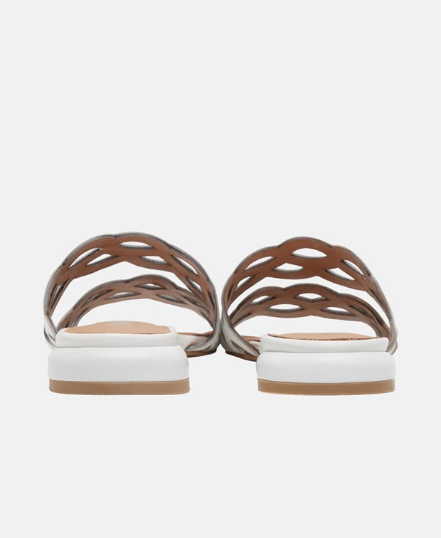 Mules