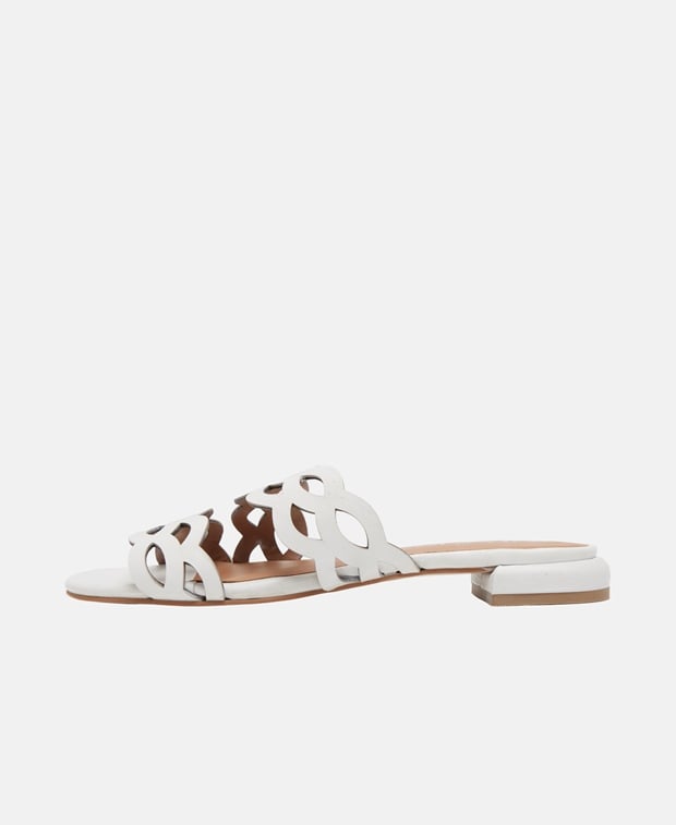 Mules