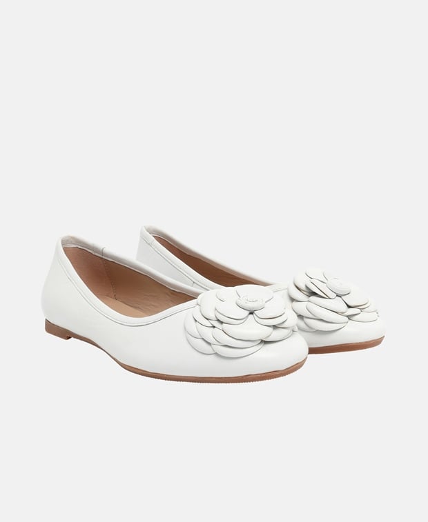 Ballerinas