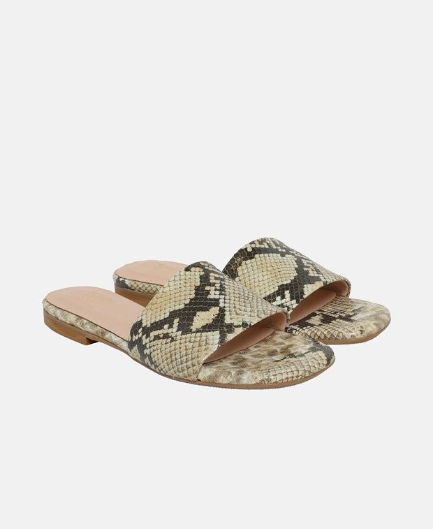Mules