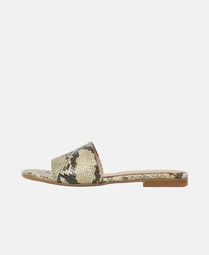 Mules