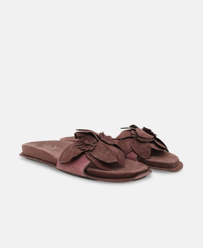 Mules