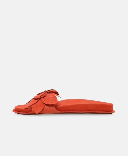 Mules