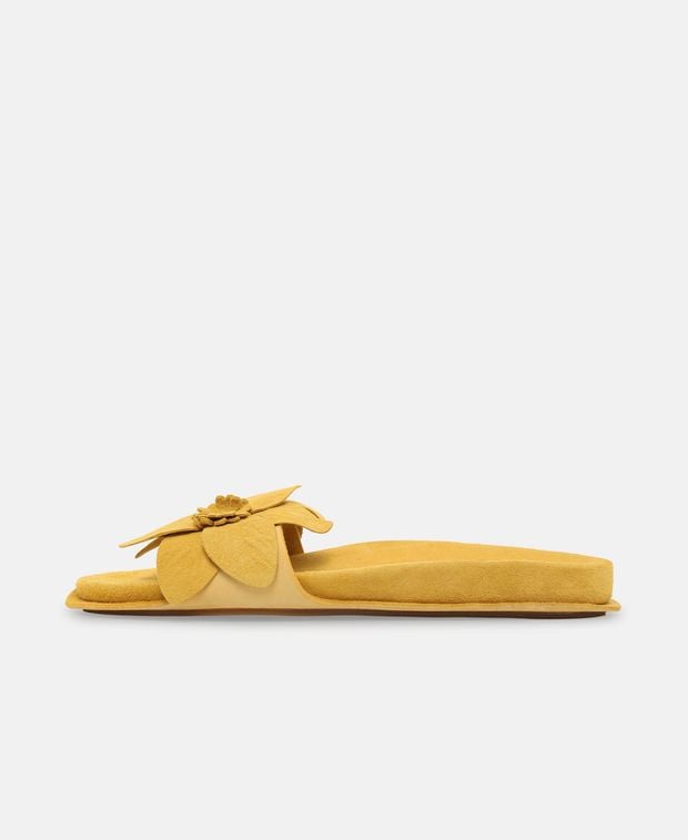 Mules