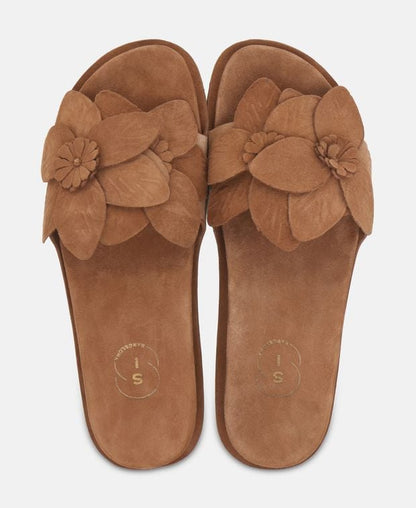 Mules