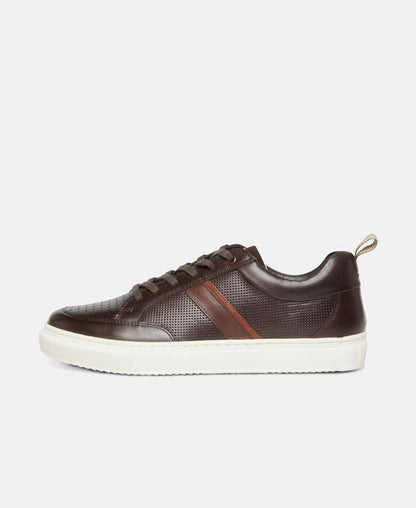 Sneaker Toto