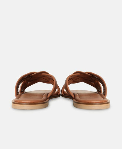 Mules