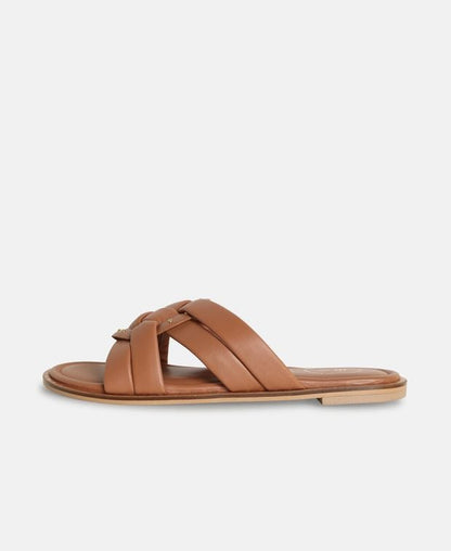 Mules