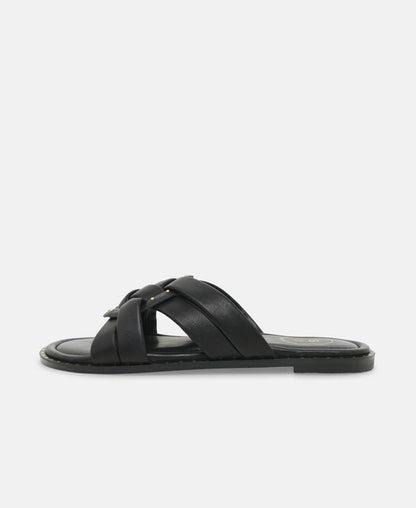 Mules