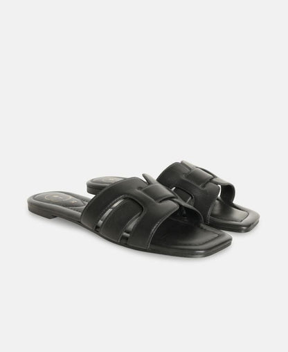 Mules