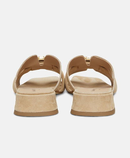Mules