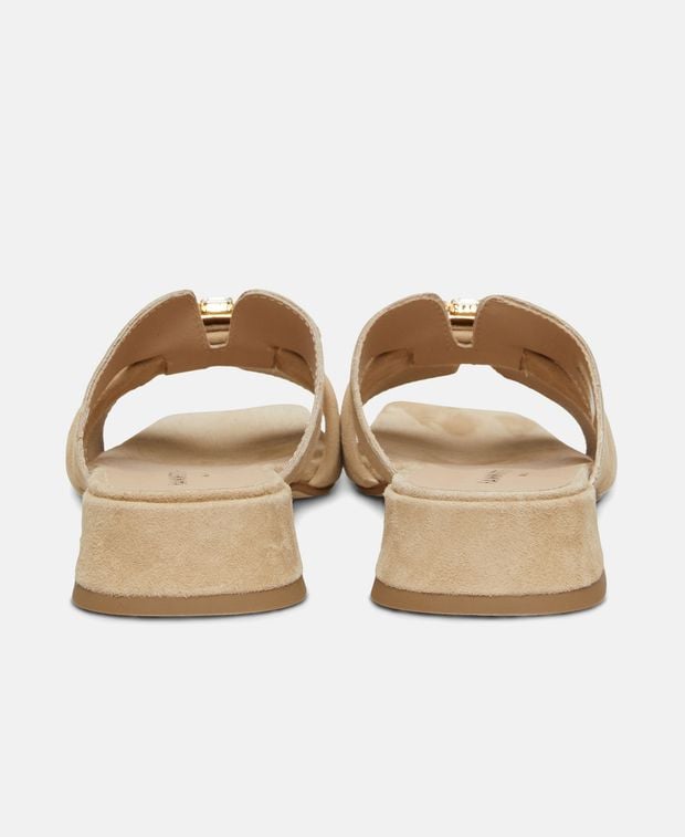 Mules Idra1