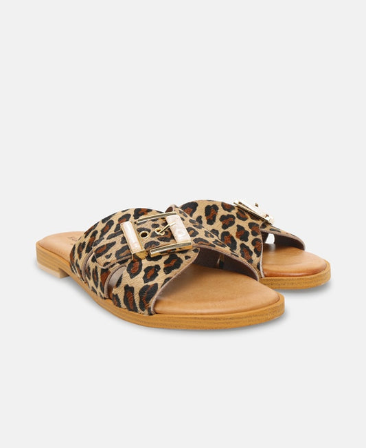 Mules