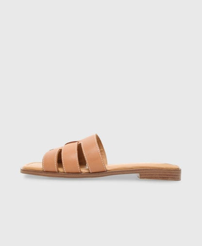 Mules