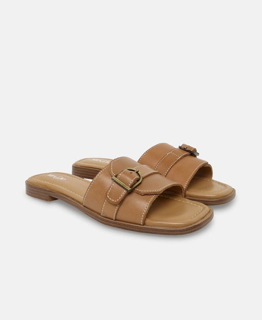 Mules