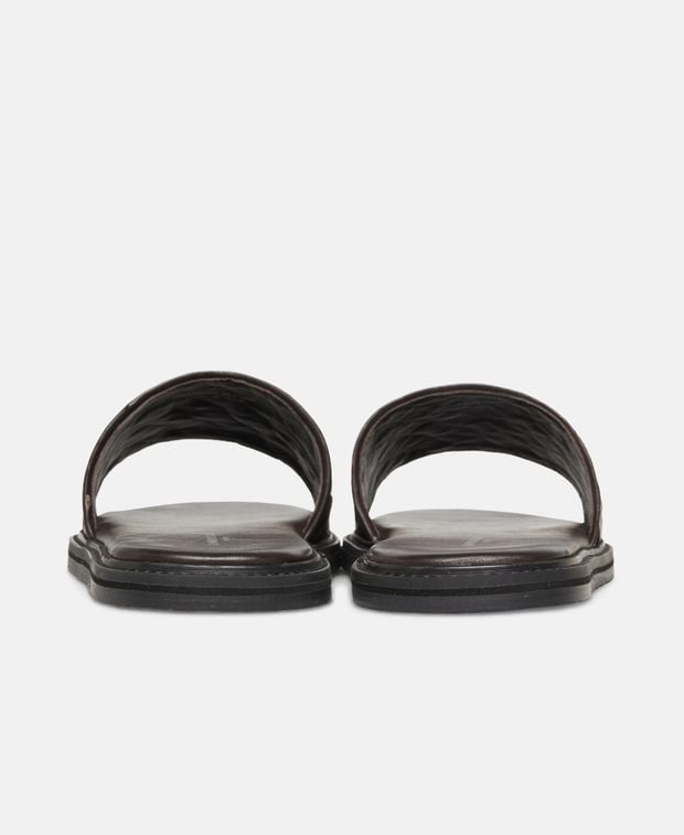 Slides