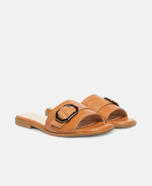 Mules Tibet
