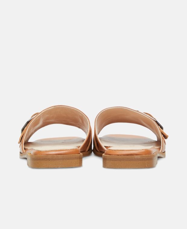 Mules Tibet