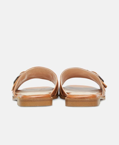Mules Tibet