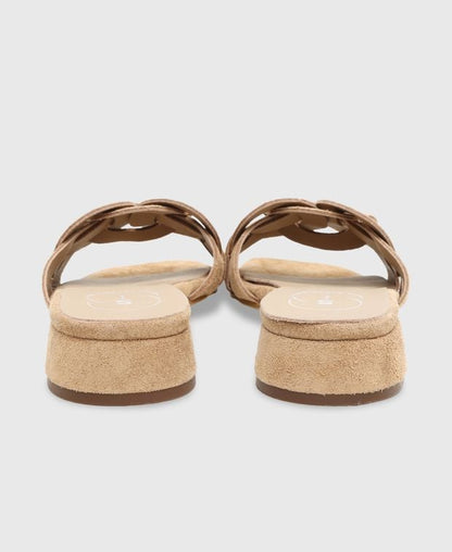 Mules