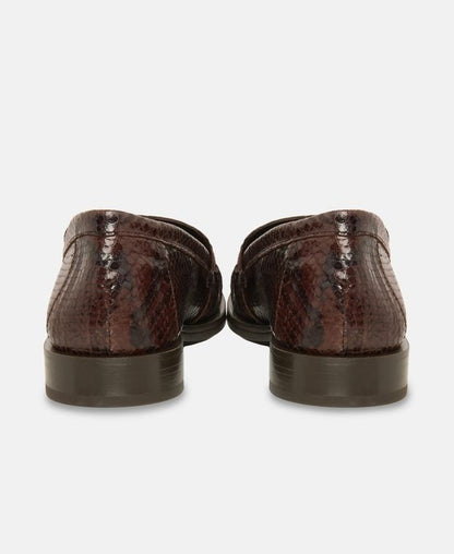 Loafer Snake