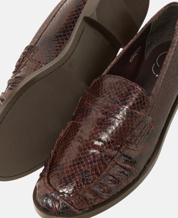 Loafer Snake