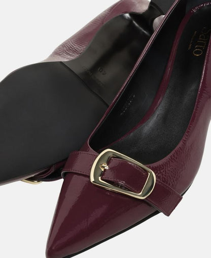 Pumps Clio 3